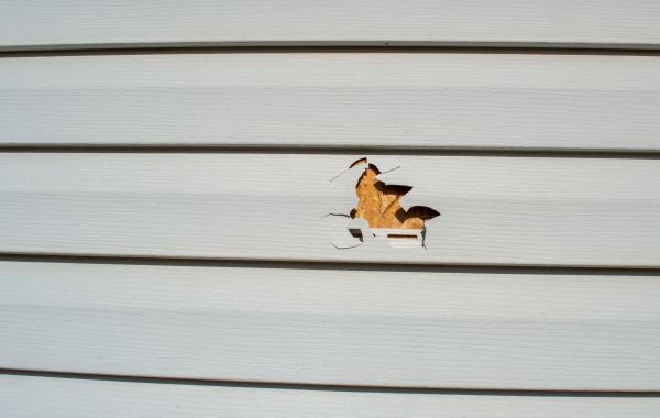 Cost of Siding Hole Patching in Kirkland